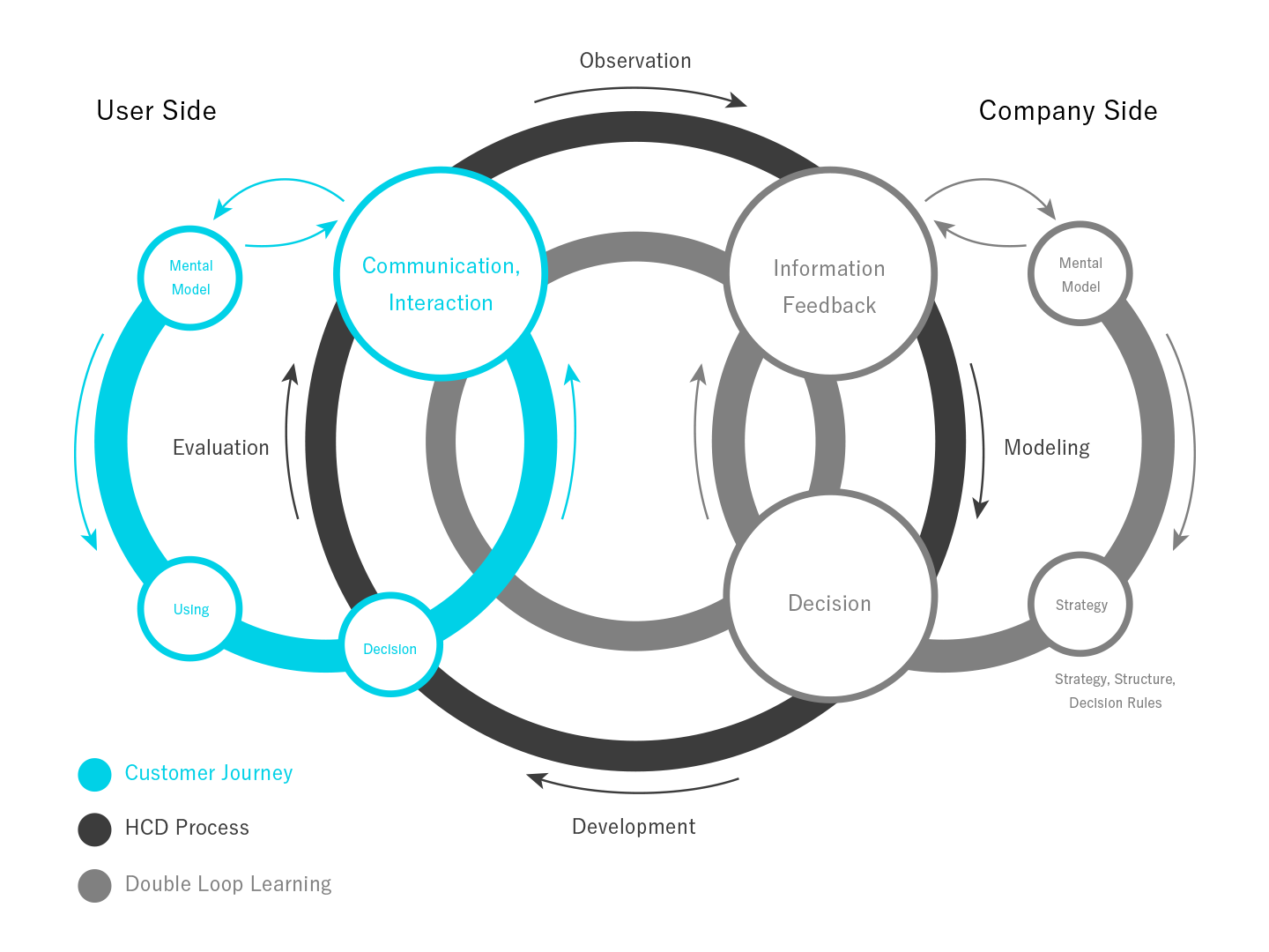 Main framework of our Design Process